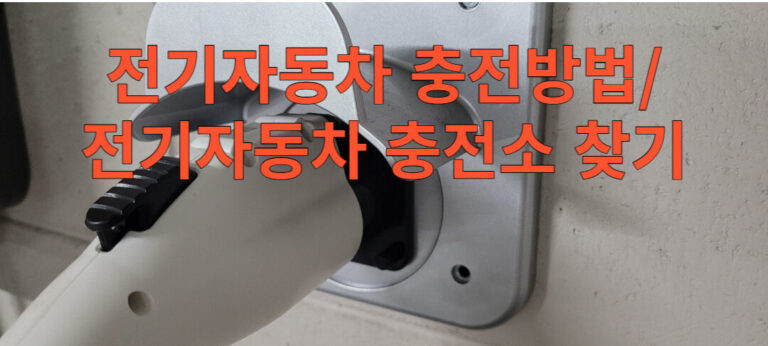 메인