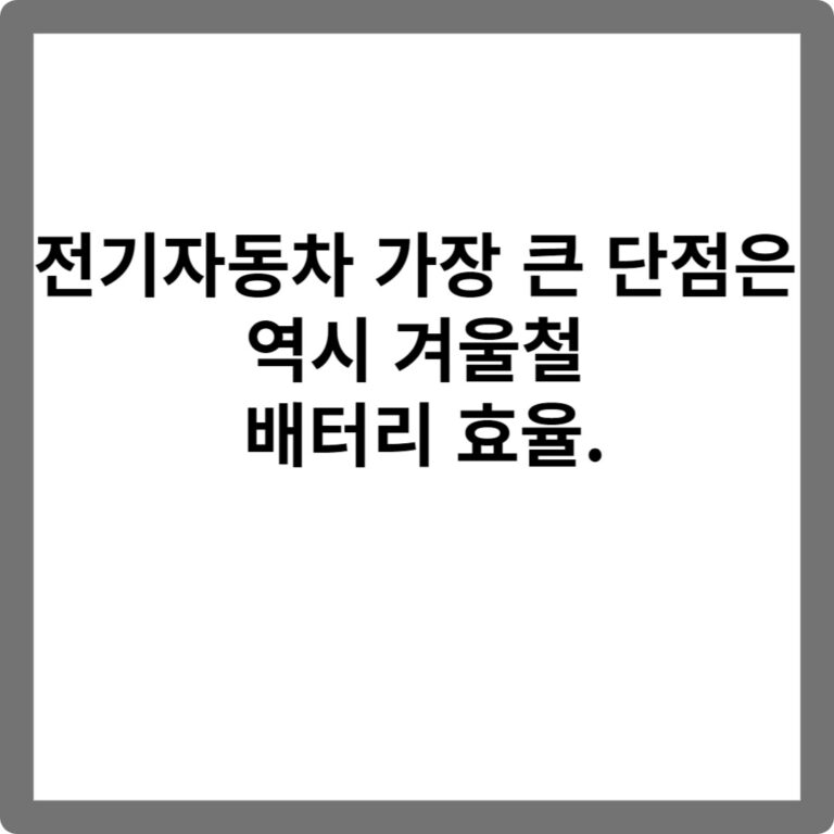 전기자동차 가장 큰 단점은 역시 겨울철 배터리 효율.