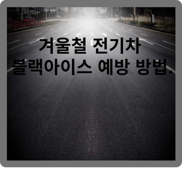 겨울철 전기차 블랙아이스