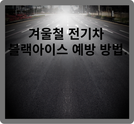 겨울철 전기차 블랙아이스