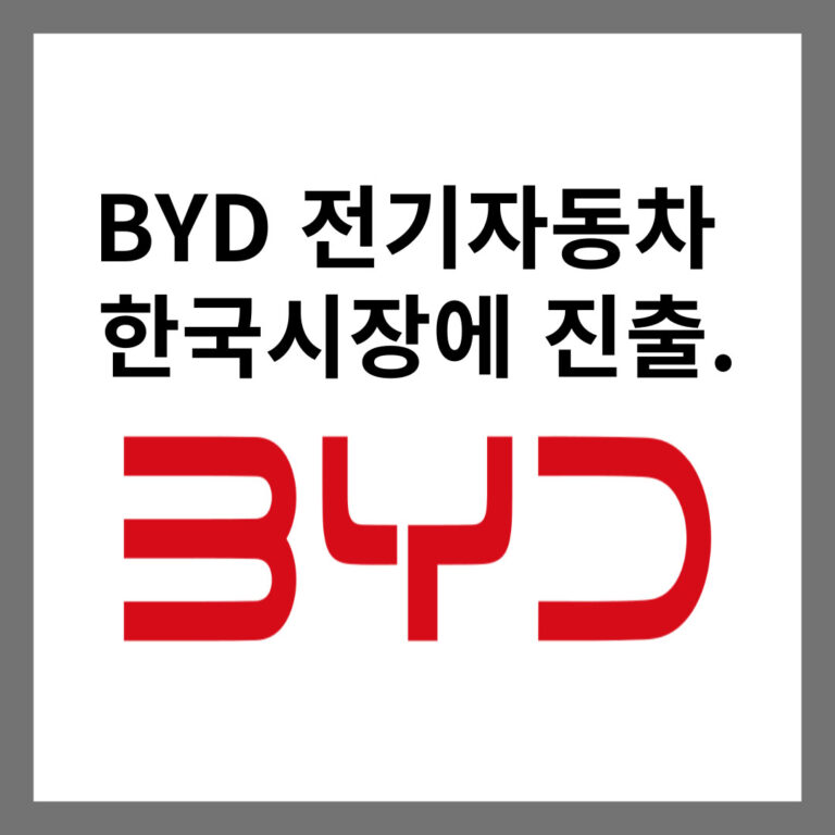 BYD 전기자동차