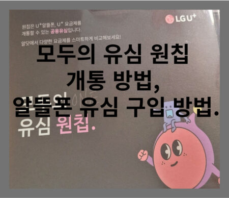 모두의 유심 원칩