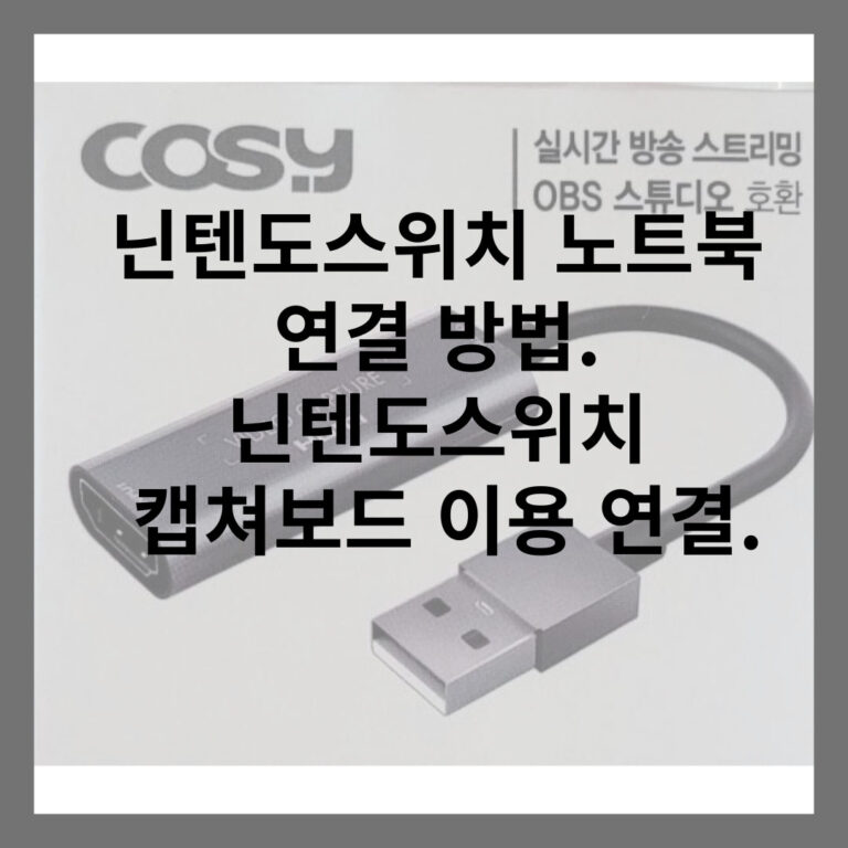 닌텐도스위치 캡쳐보드