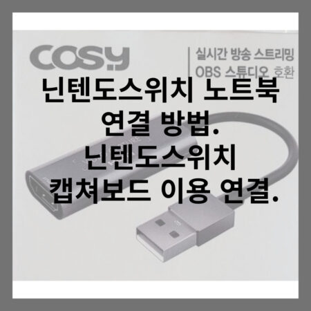 닌텐도스위치 캡쳐보드