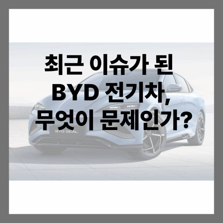 BYD 전기차