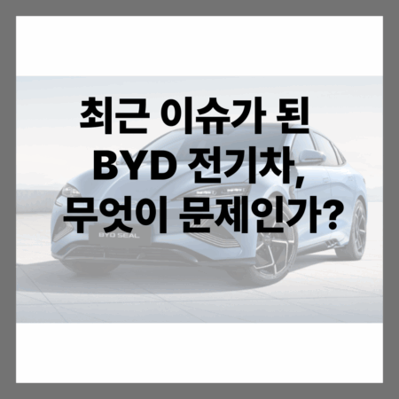 BYD 전기차