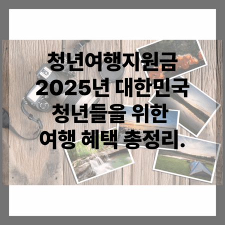 청년여행지원금