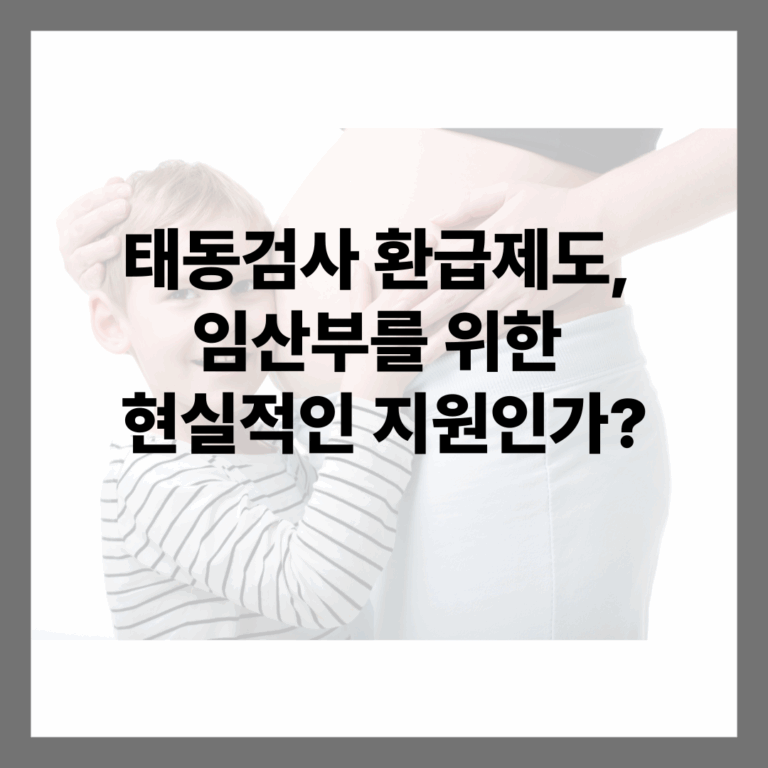 태동검사 환급제도