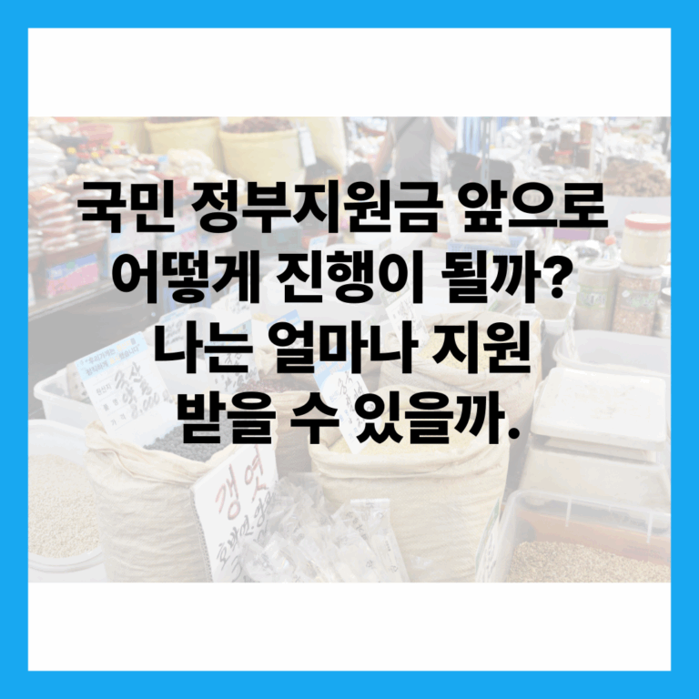 국민 정부지원금
