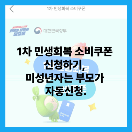 민생회복 소비쿠폰