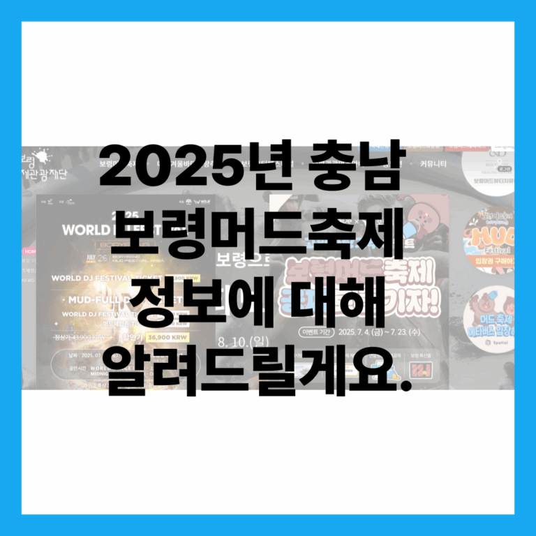 보령머드축제