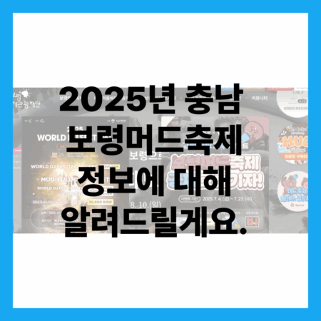 보령머드축제