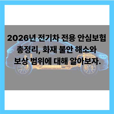 전기차 전용 안심보험