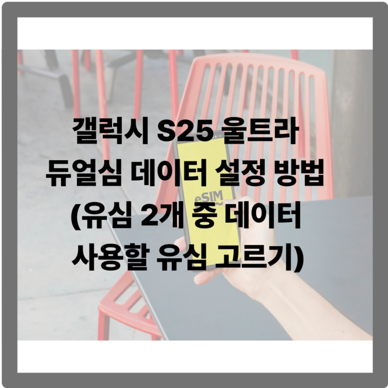 듀얼심 데이터 설정